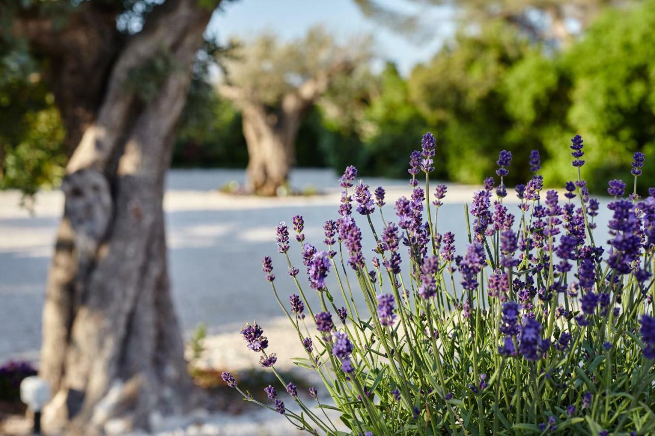 Agapanto Masseria Bed and Breakfast Conversano Exterior foto